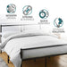 Extra Strong Double Metal Bed Frame In Black -