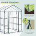 Steel Frame Greenhouse Steel Frame, 2 Shelves -